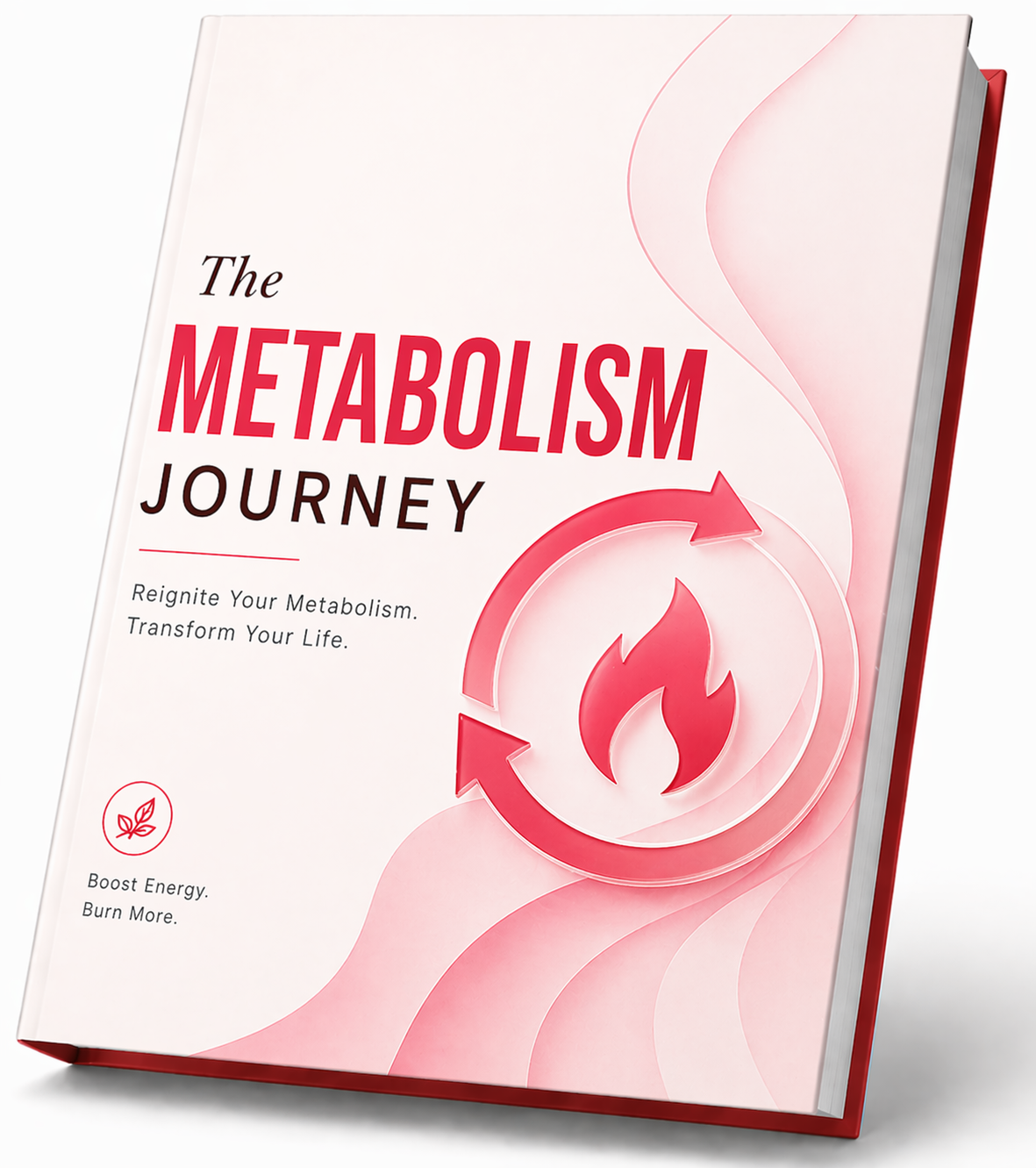 JellyThin BONUS #3 The Metabolism Journey