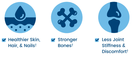 Nativepath Native Collagen What Science Says