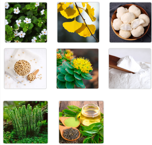 memomatrix ingredients