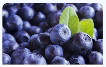 BilberryExtrac