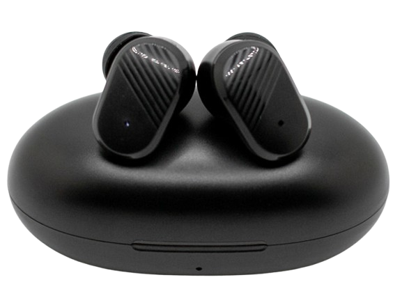 Echo Labs Earbuds Reviews