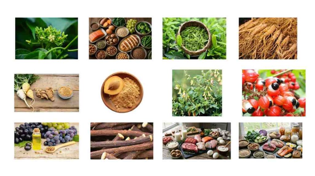 GlycePrime ingredients