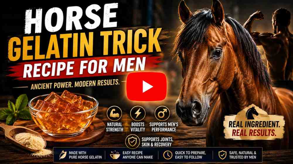 Horse Gelatin Recipe for Men