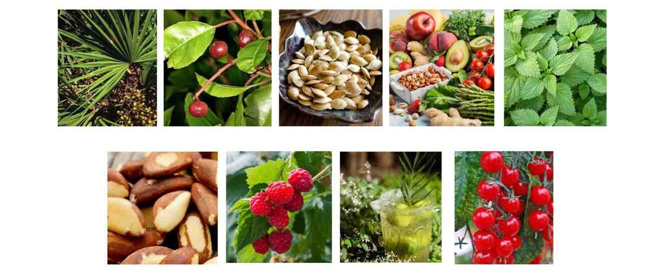 ProstaLiss Ingredients