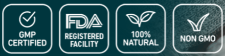 AMP-Joint-10-Certification