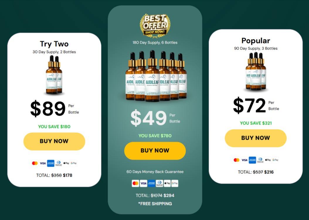 AudiLeaf Pricing