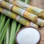 cane-sugar