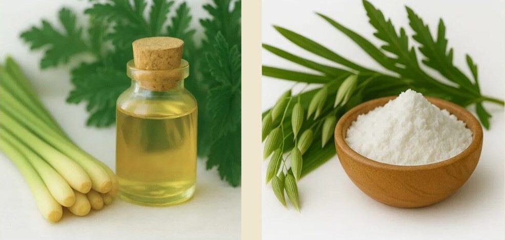 Gentle Anti-Mosquito Patches Ingredients
