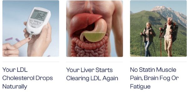 Lipids 01 benefits