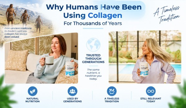 Native Path Collagen