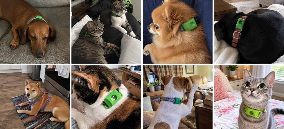 Pest-Shield Plant Oil Shield Tag Customer Reviews