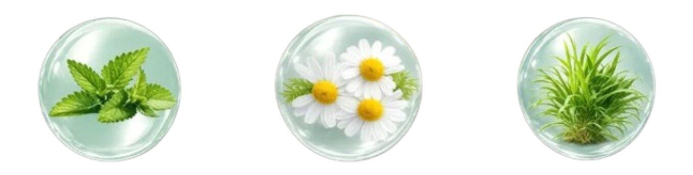 Pest-Shield Plant Oil Shield Tag Ingredients