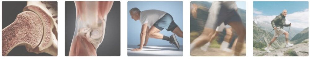 Bones 01 Benefits