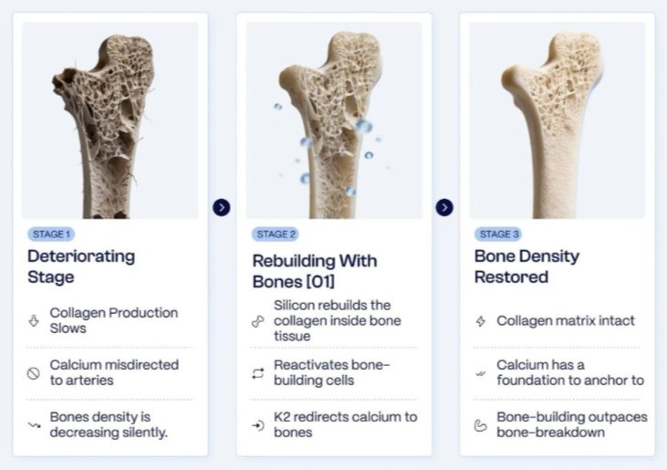 Bones 01 Work