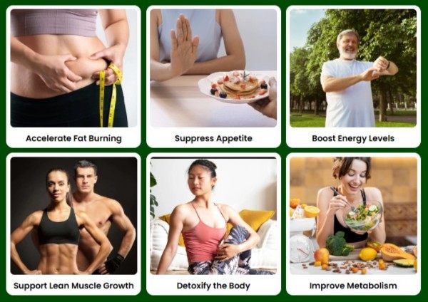 MeltCore benefits