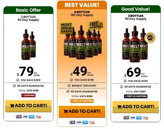MeltCore pricing details