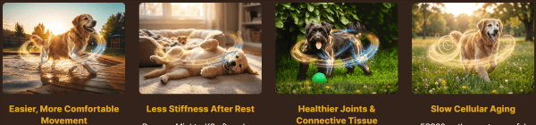 Mighty-K9-benefits