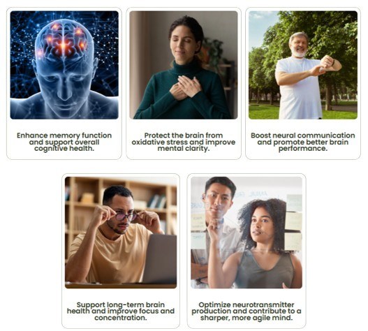 Olive Brain benefits