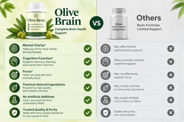 Olive Brain vs others