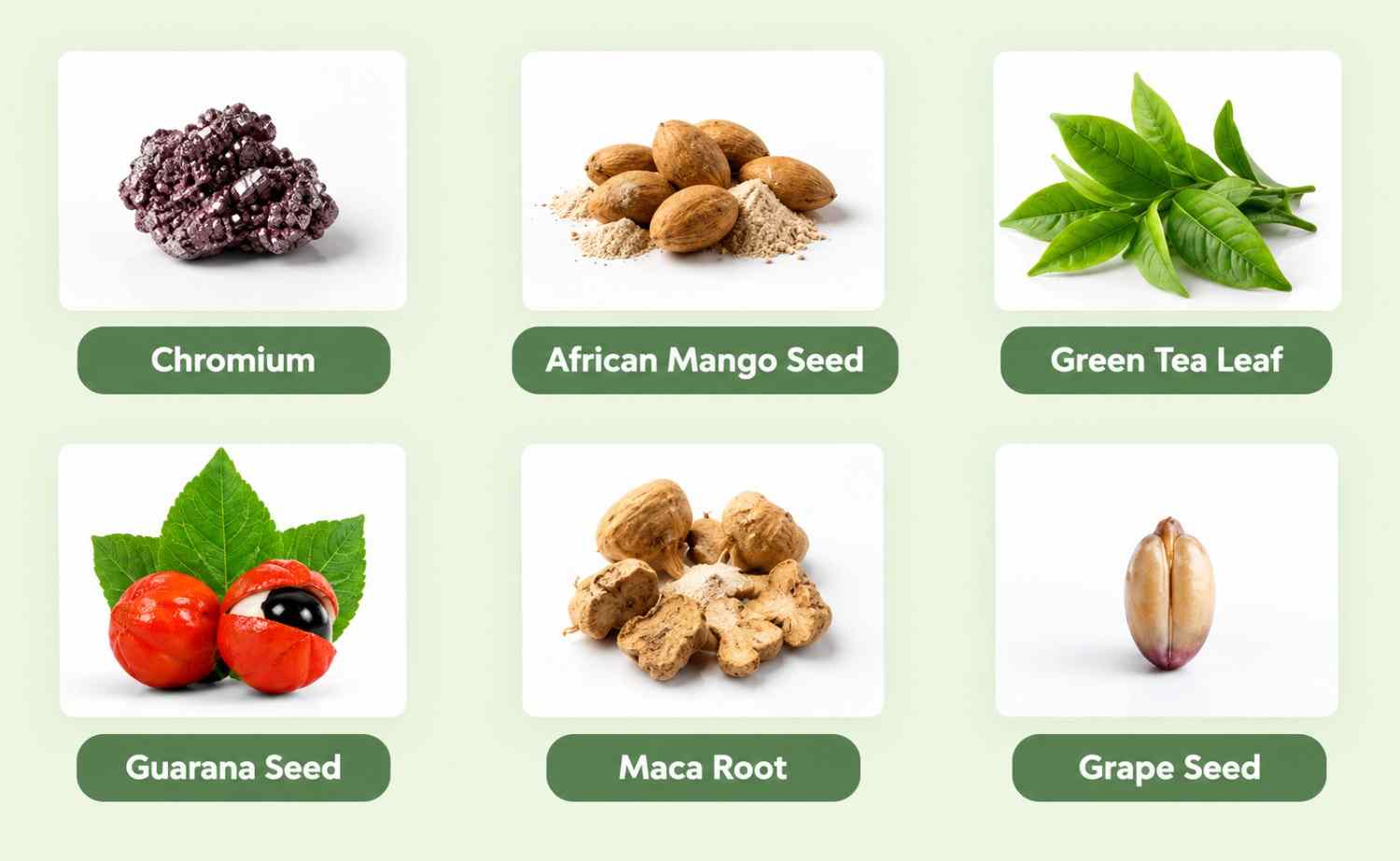 SodaFit Ingredient
